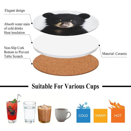 4Pcs Ceramic Coasters with Metal Holder Q65285