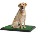 Artificial Grass Potty Trainer Mat 20" L X 25" W X268