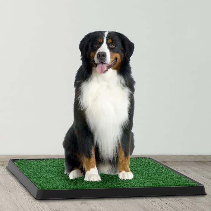 Artificial Grass Potty Trainer Mat 20" L X 25" W X268