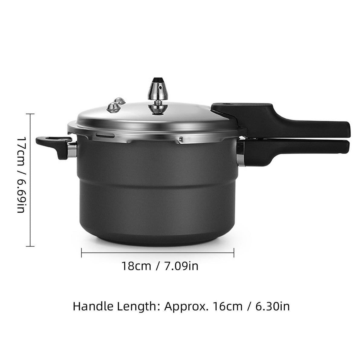 Stainless Steel Pressure Cooker N179