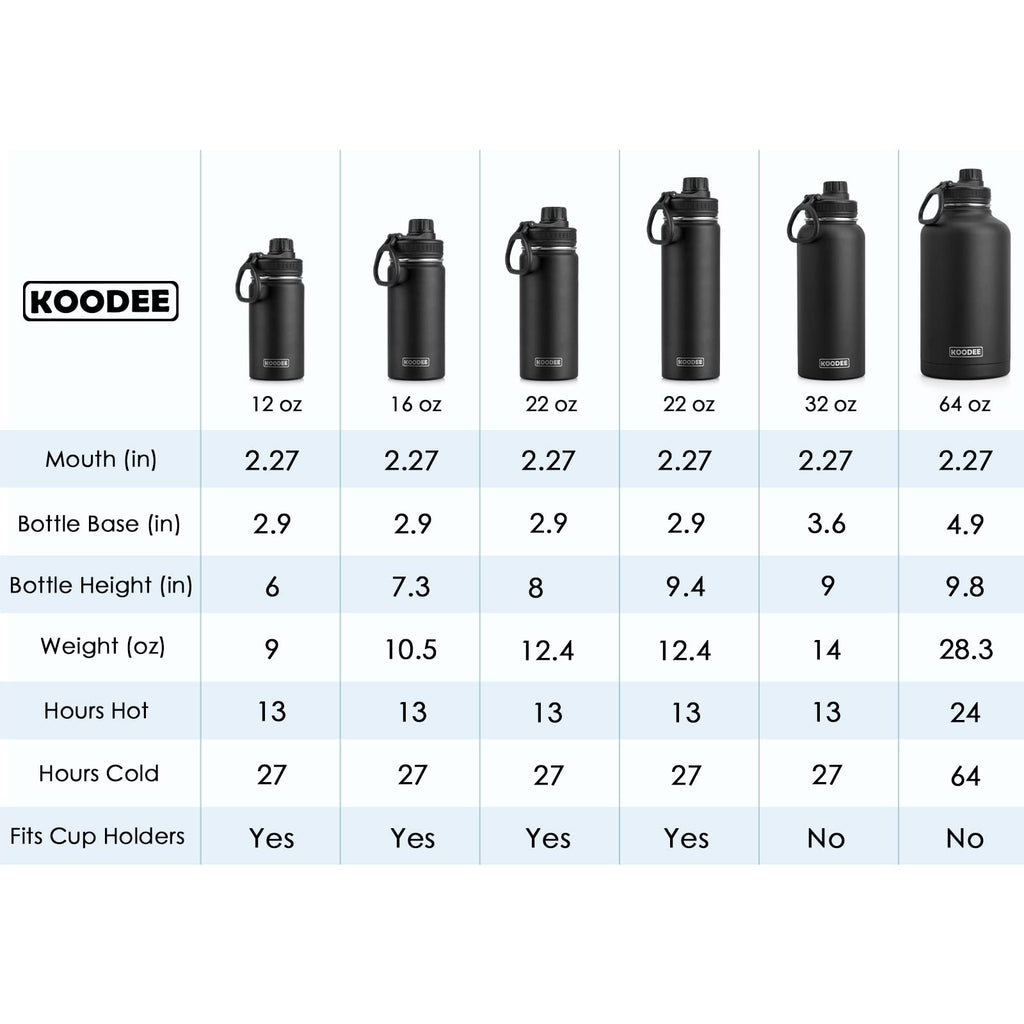 Stainless Steel Vacuum Insulated Water Bottle 16 oz 2 Pack Z5304