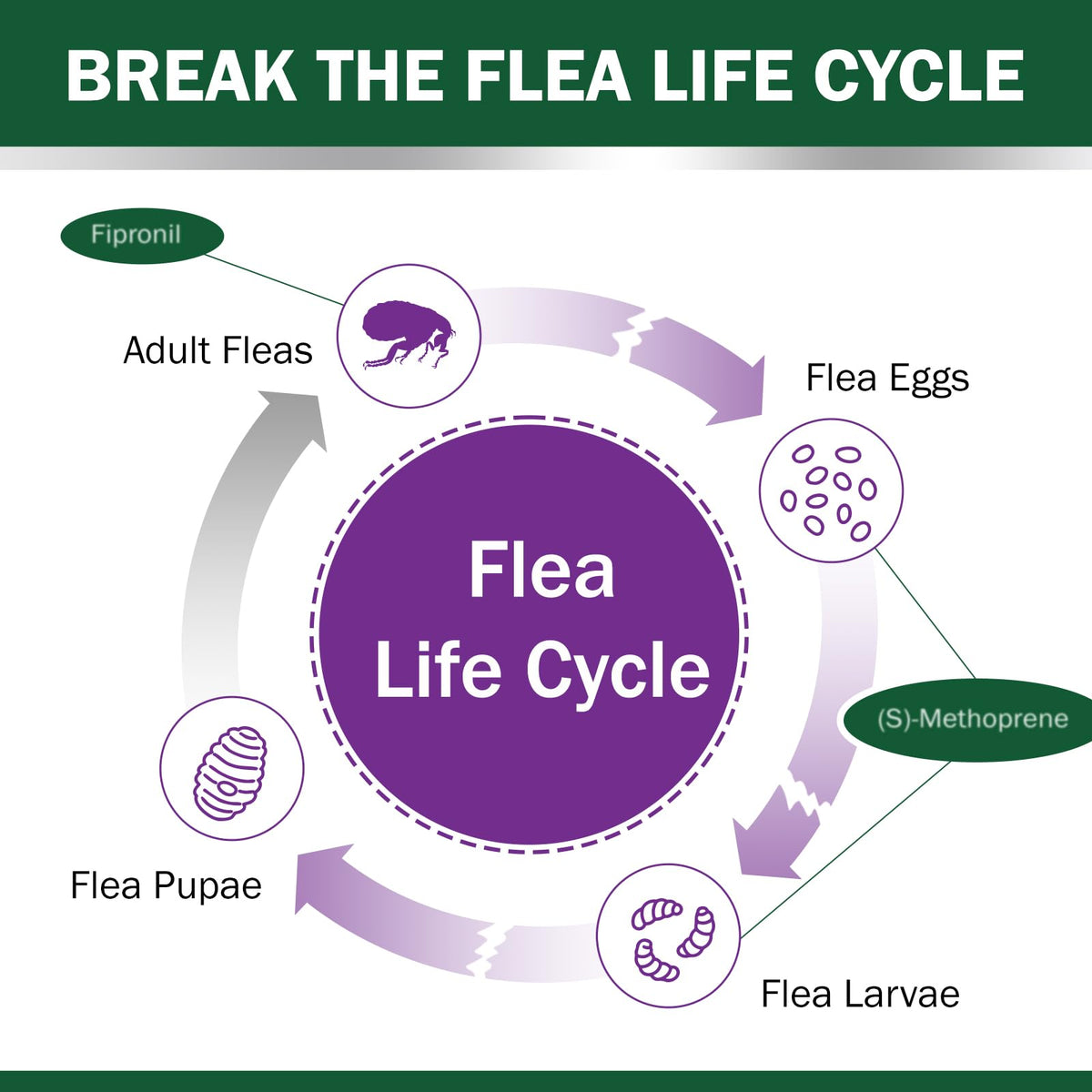 Flea and Tick Prevention for Cats Over 1.5 lbs G70277