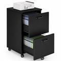 2 Drawer Black Wood File Cabinet B9578