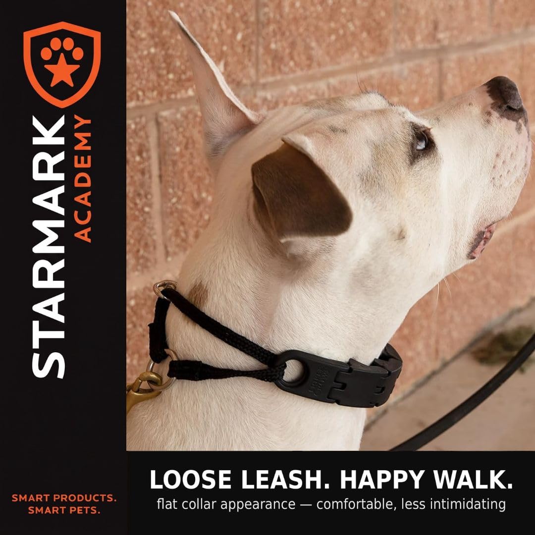 Large No-Pull Dog Collar H153