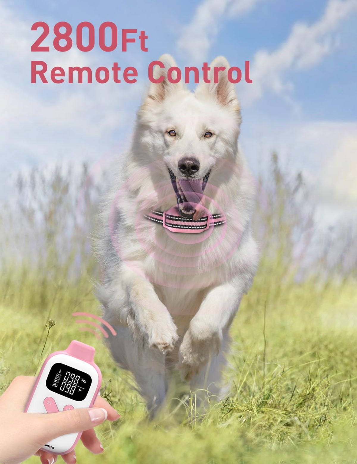 Beep and Vibrating Dog Collar with Remote A549253