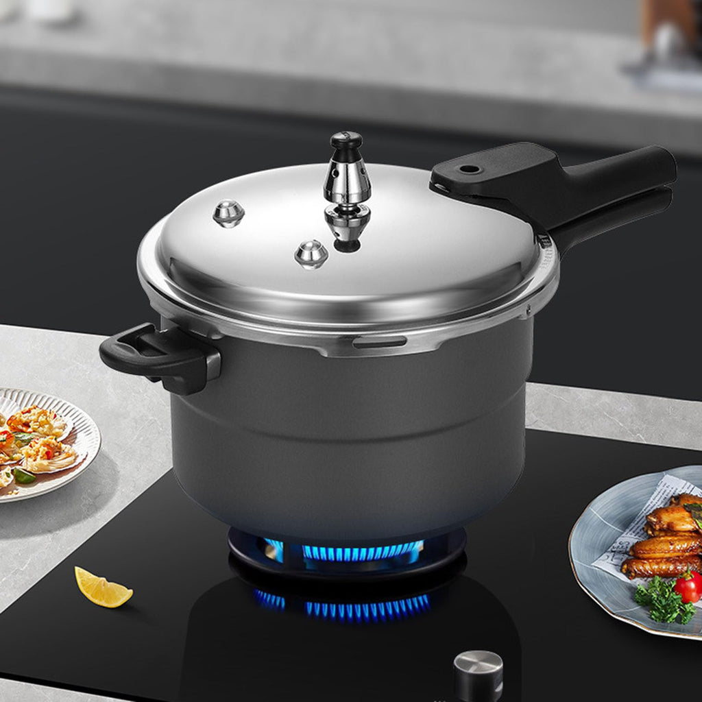 Stainless Steel Pressure Cooker N179