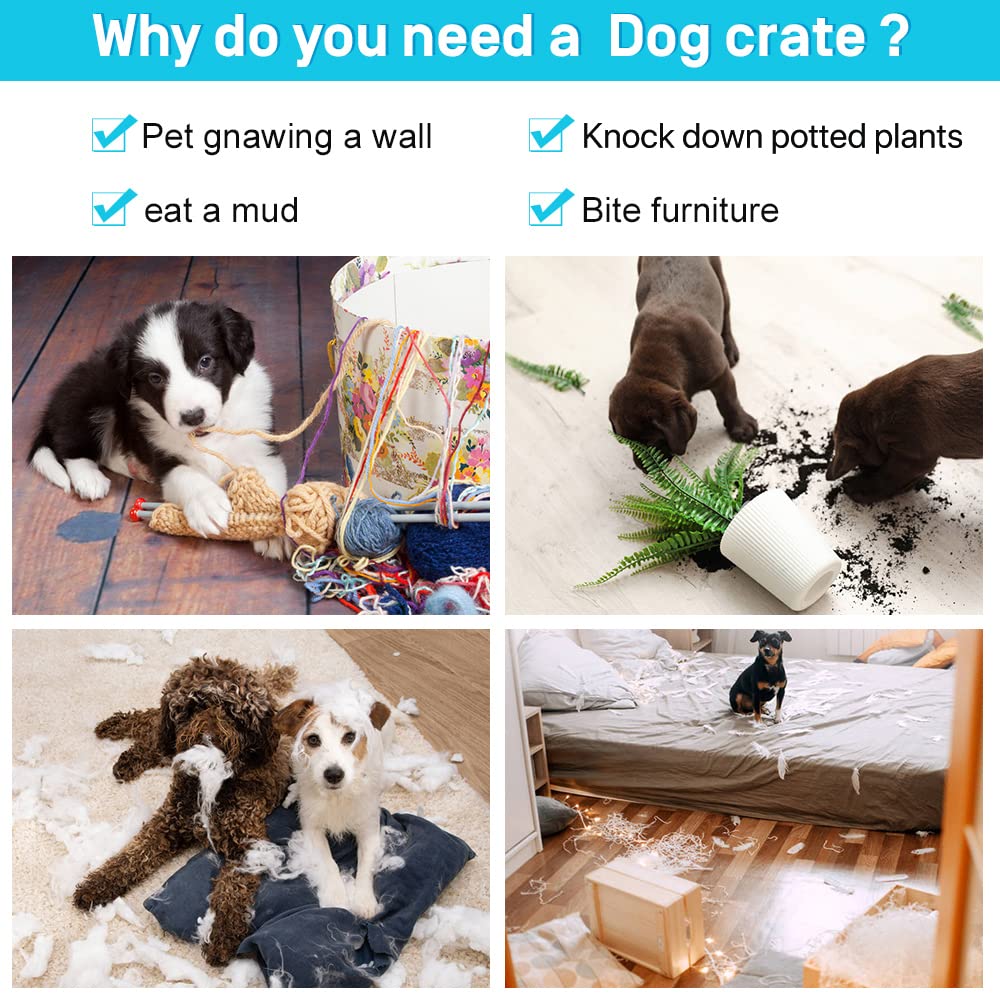48" Heavy Duty Folding Wire Metal Dog Crate with Divider N670