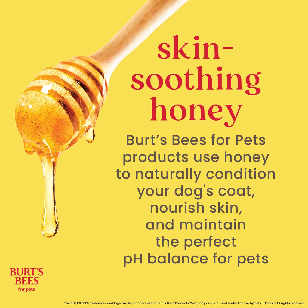 Honeysuckle Dog Shampoo 16 Fl Oz K381882