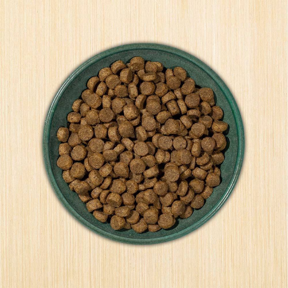 Dry Dog Food, 25% Protein Chicken & Brown Rice, 12-lb Bag K128236
