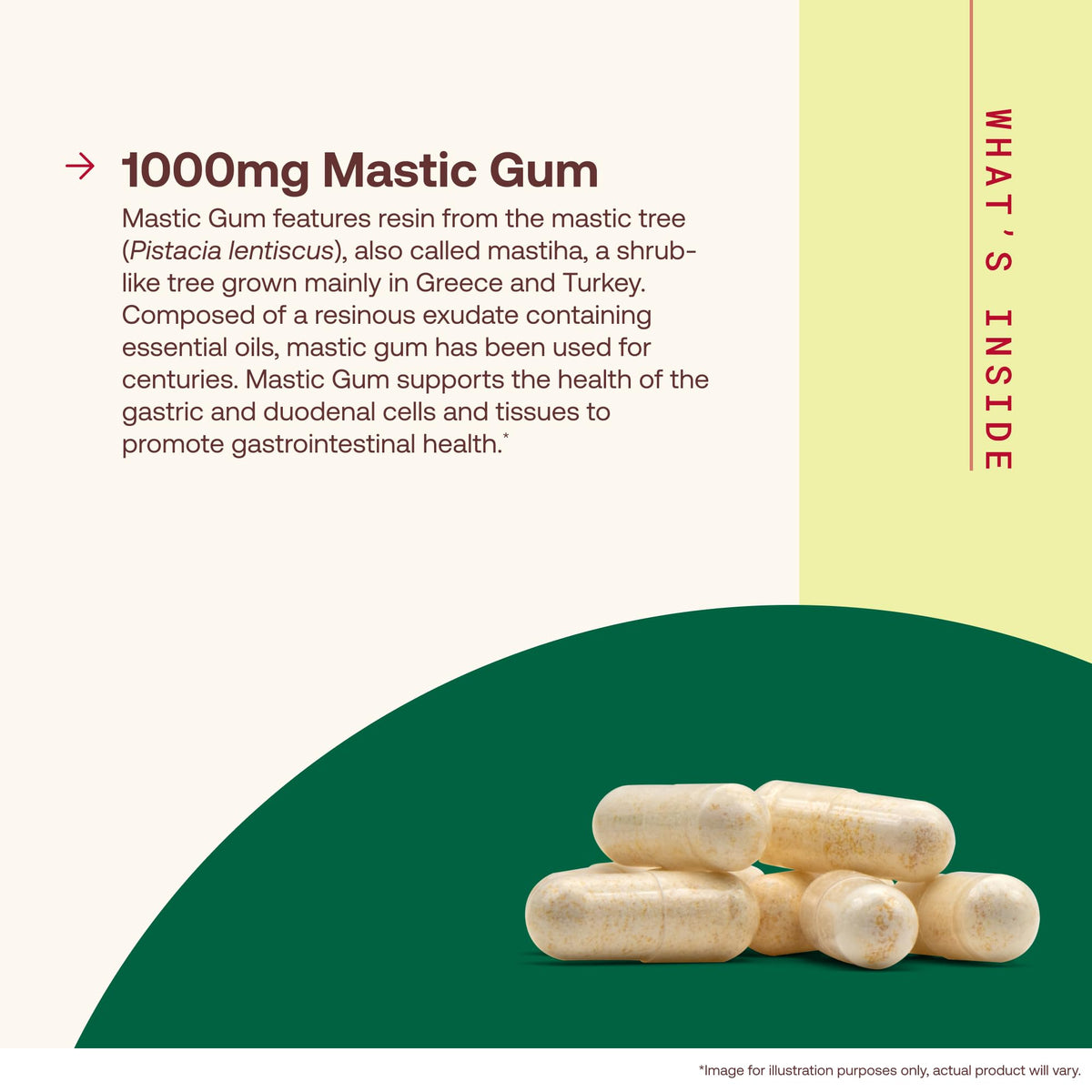 Mastic Gum 1000mg 60 Capsules O150