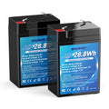 4.5Ah LiFePO4 Battery 2 Pack A369