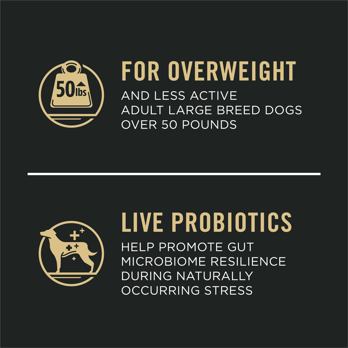 Weight Management Large Breed Dog Food Chicken 34 lb Bag O1804
