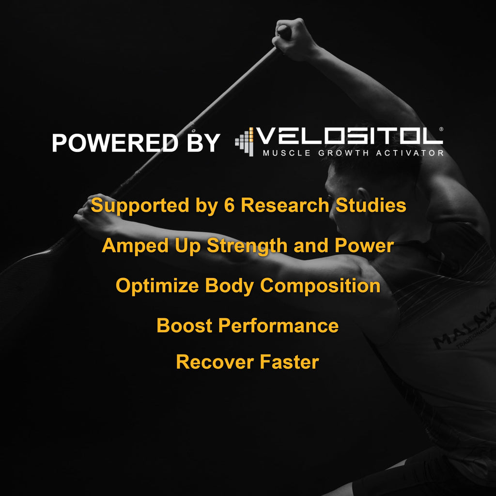 Vanilla Vegan Plant Based Protein Powder S919
