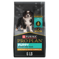 High Protein Chicken & Rice Dry Puppy Food 6 lb Bag M2463