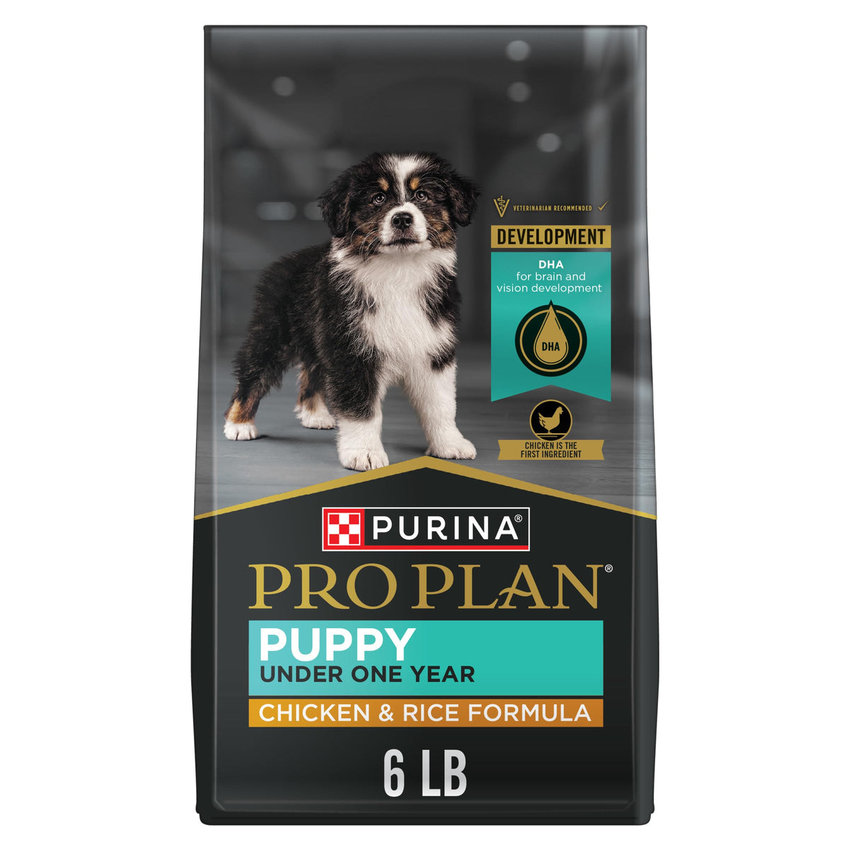 High Protein Chicken & Rice Dry Puppy Food 6 lb Bag M2463