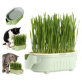 Hydroponic Cat Grass Growing Kit with Germination Tray S1128