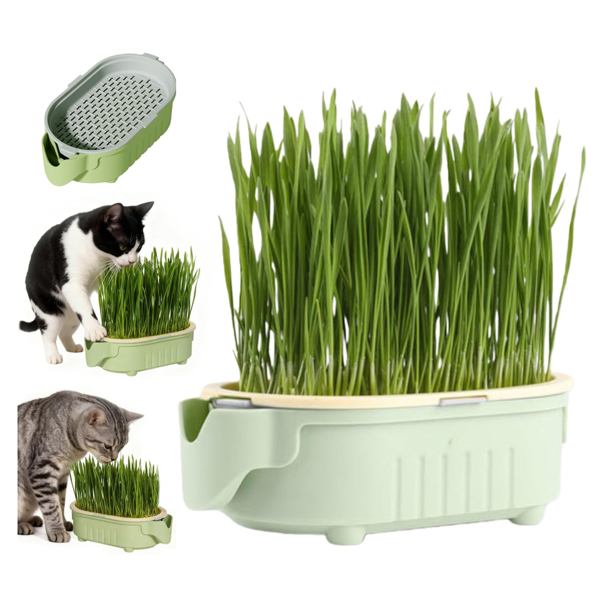 Hydroponic Cat Grass Growing Kit with Germination Tray S1128