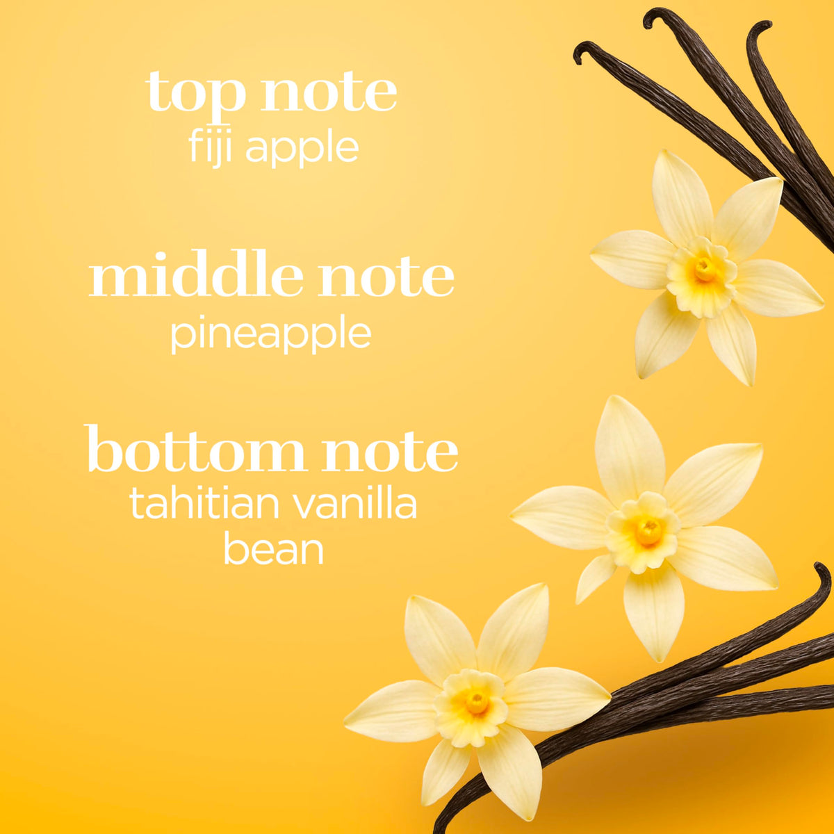 Vanilla Fragrance Body Spray 8 Ounce H36341