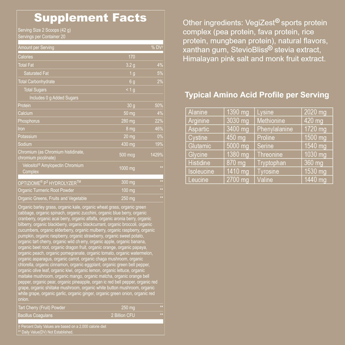Vanilla Vegan Plant Based Protein Powder S919