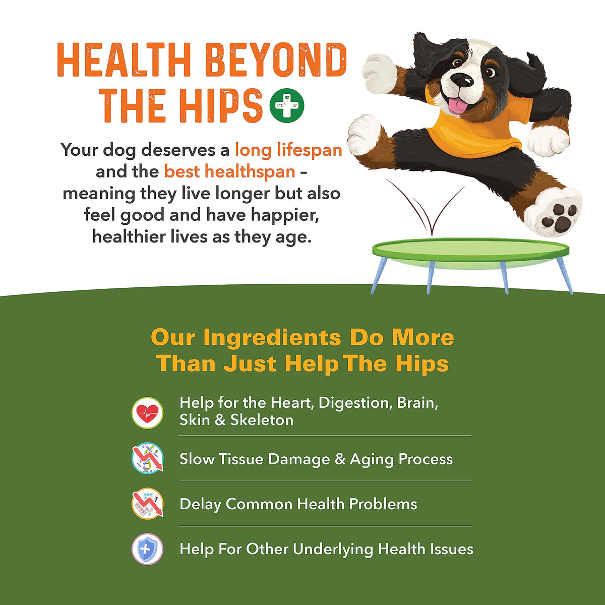 Hip and Joint Supplement for Dogs 90 Ct Soft Chews K860