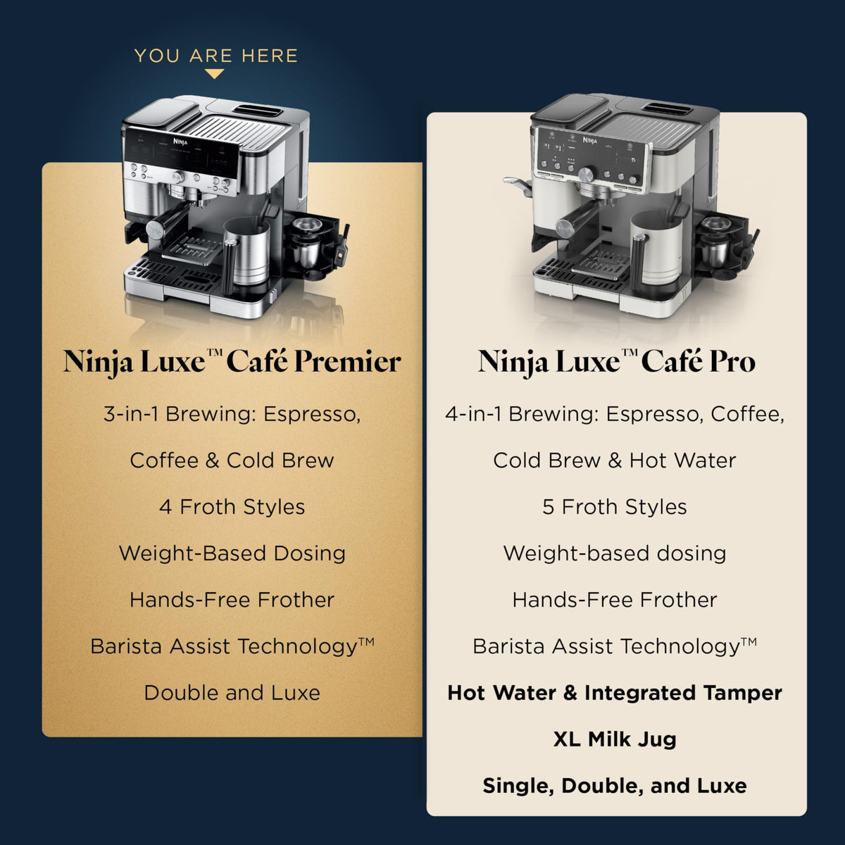 3-in-1 Espresso Drip Coffee & Cold Brew Machine Y698334