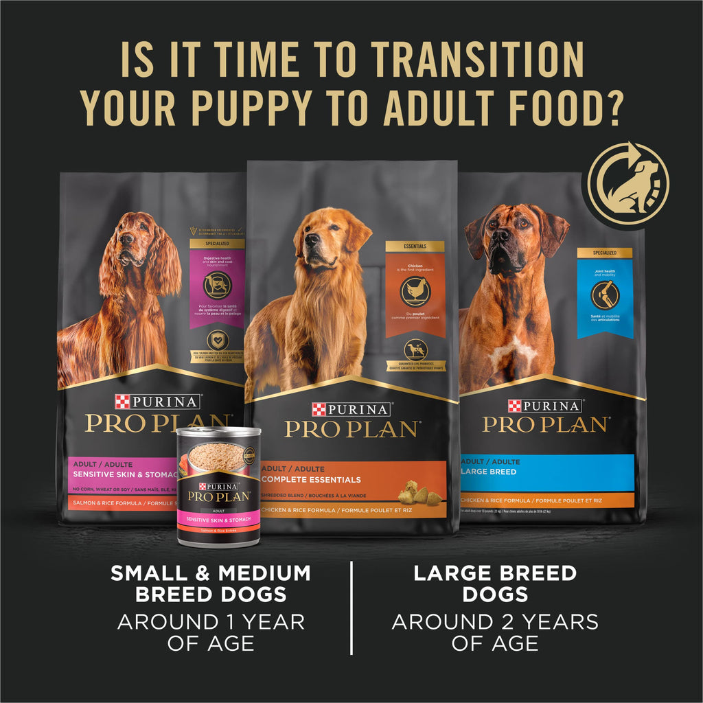High Protein Chicken & Rice Dry Puppy Food 6 lb Bag M2463