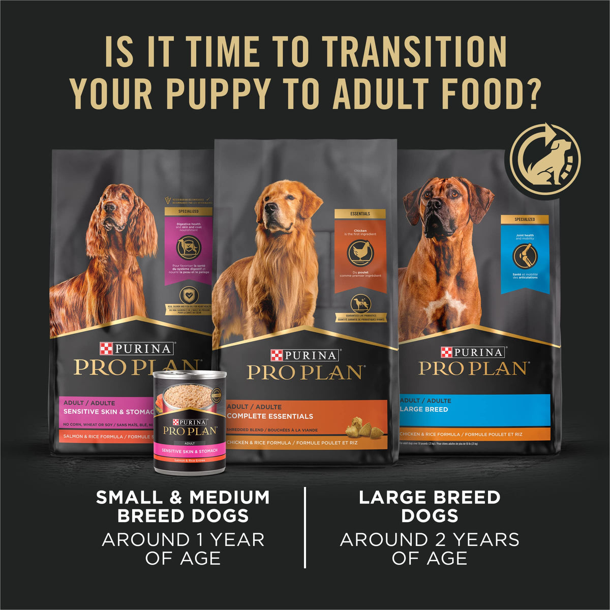 High Protein Chicken & Rice Dry Puppy Food 6 lb Bag M2463
