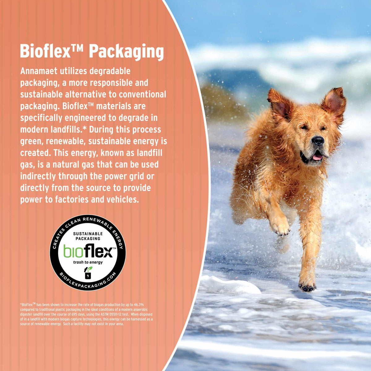Dry Dog Food, 25% Protein Chicken & Brown Rice, 12-lb Bag K128236