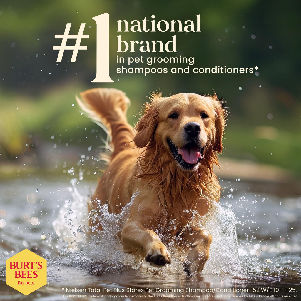 Honeysuckle Dog Shampoo 16 Fl Oz K381882