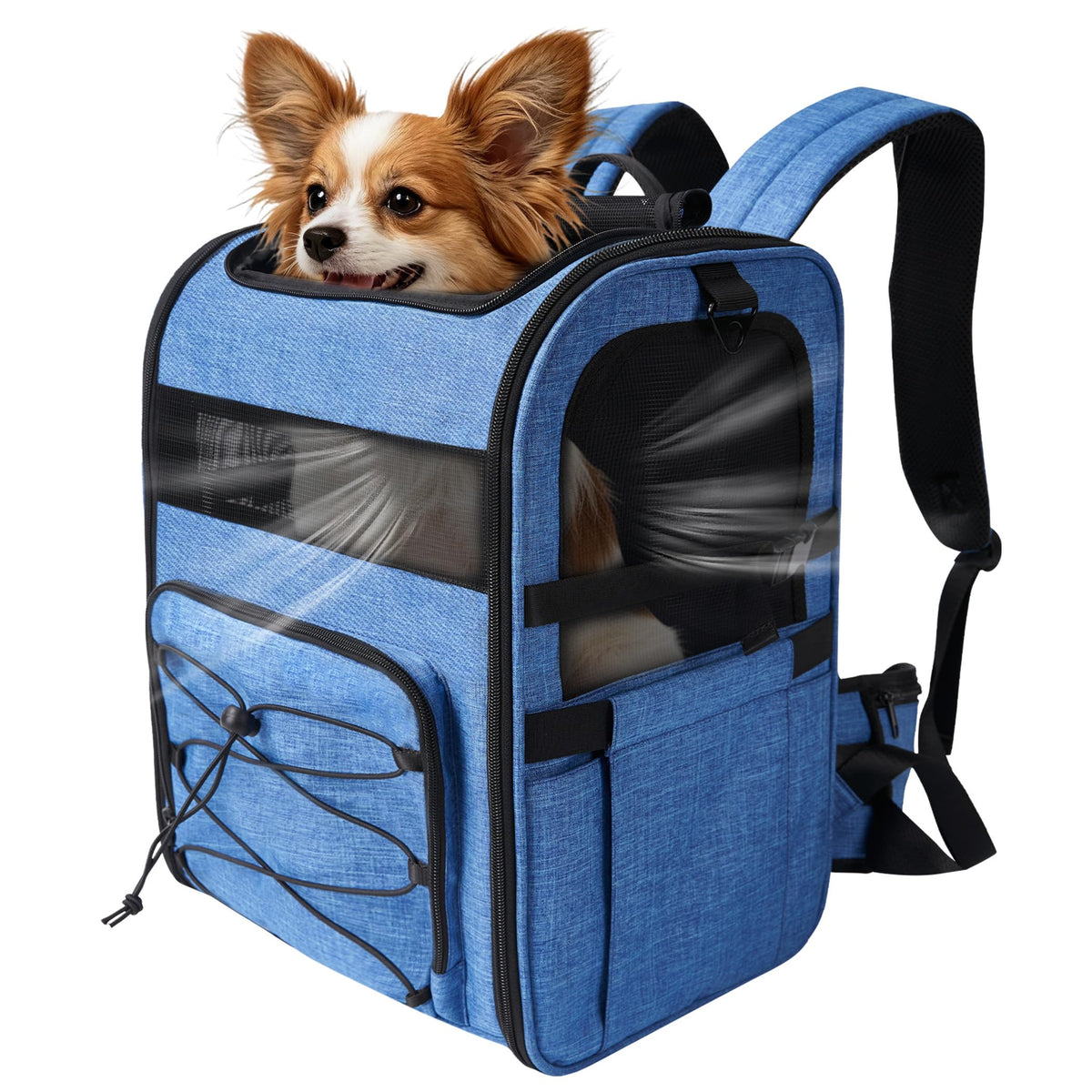 Blue Pet Carrier Backpack T26370