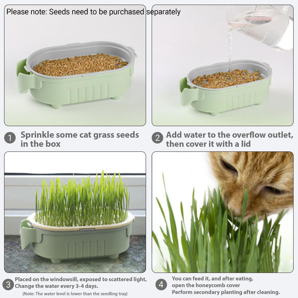 Hydroponic Cat Grass Growing Kit with Germination Tray S1128