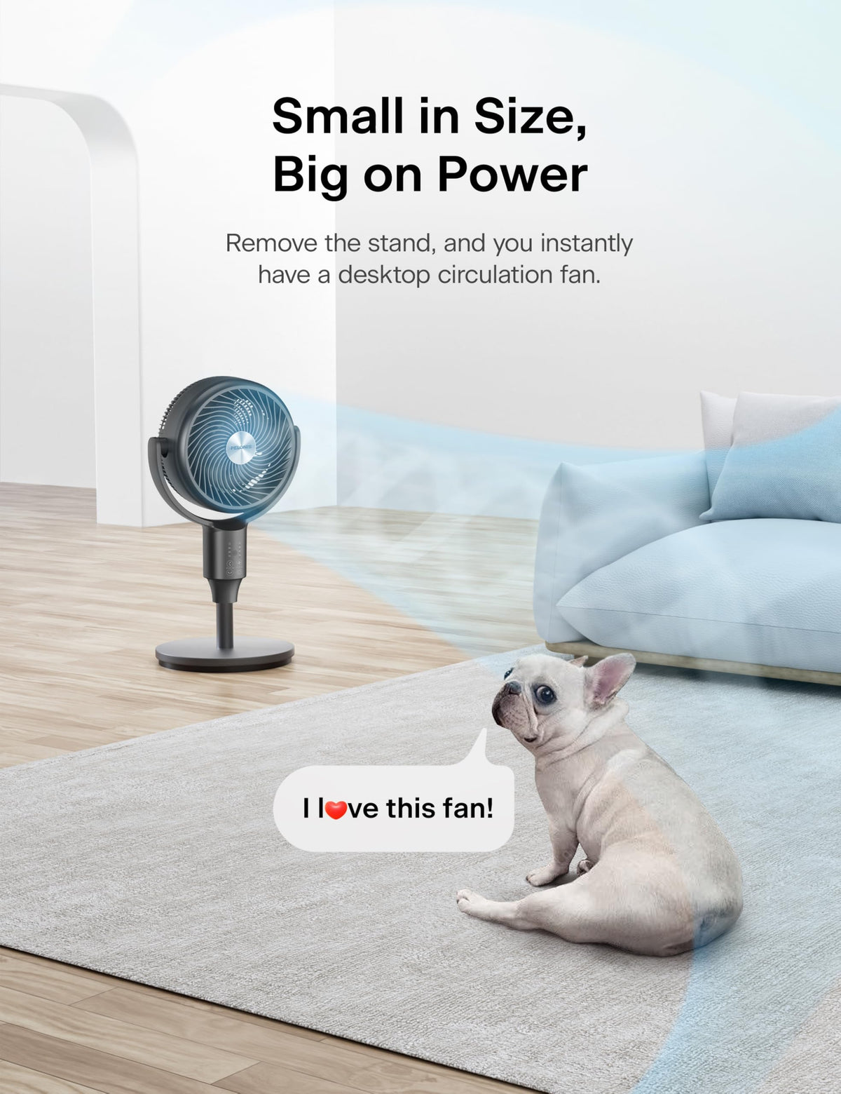 Grey Pedestal Fan O249