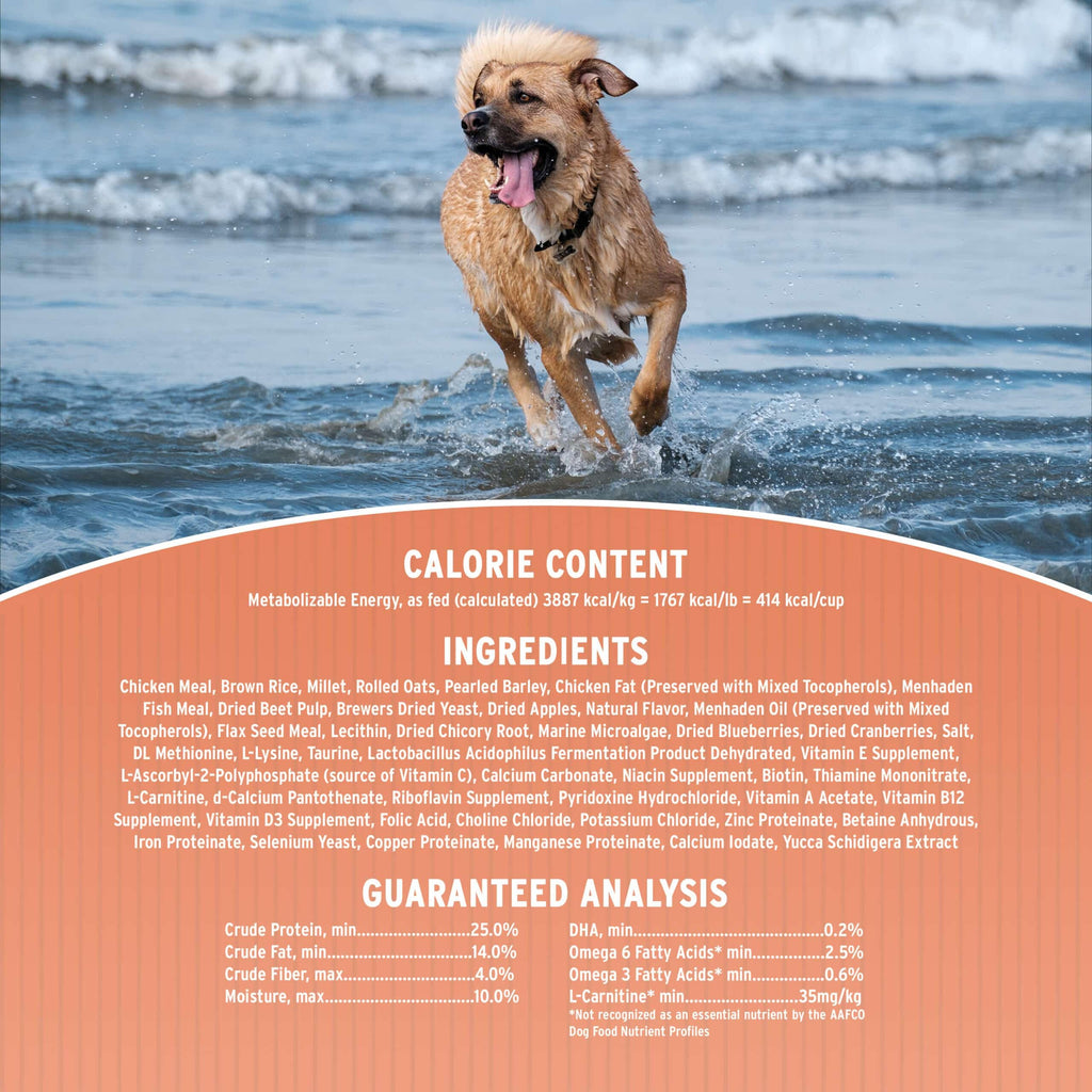 Dry Dog Food, 25% Protein Chicken & Brown Rice, 12-lb Bag K128236