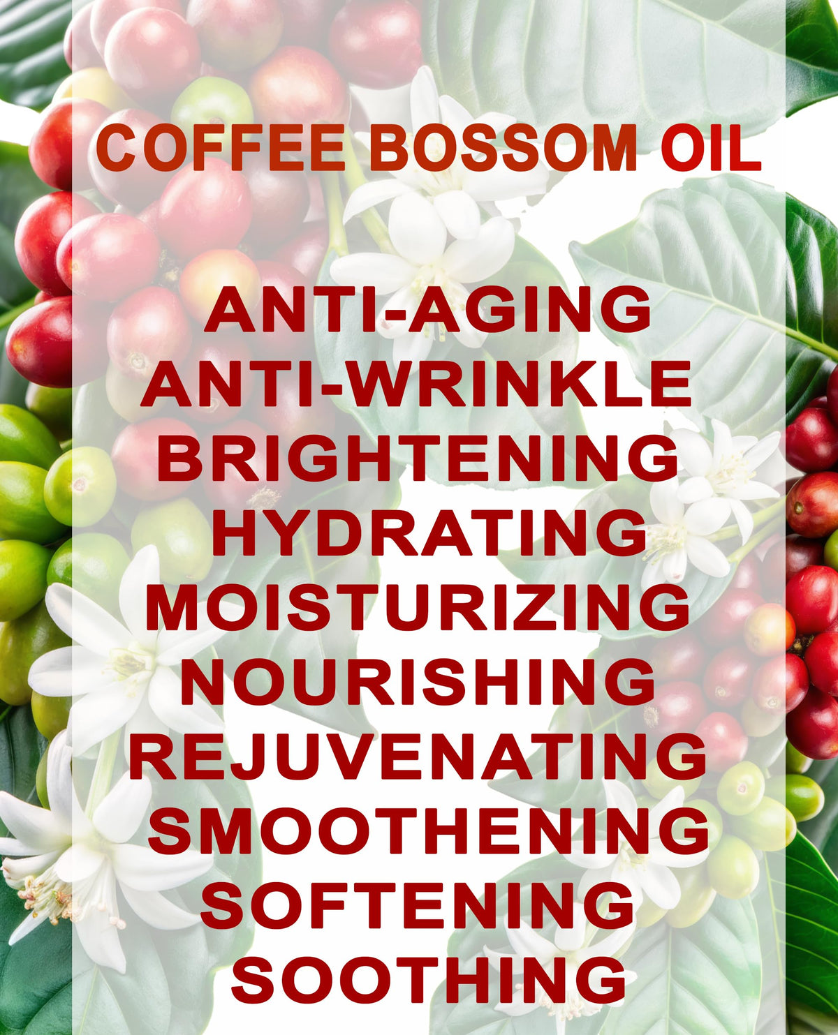 100% Natural Coffee Blossom Oil 1 Fl.oz. K221693