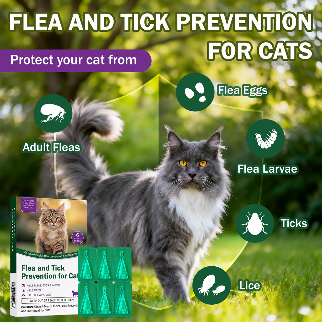 Flea and Tick Prevention for Cats Over 1.5 lbs G70277