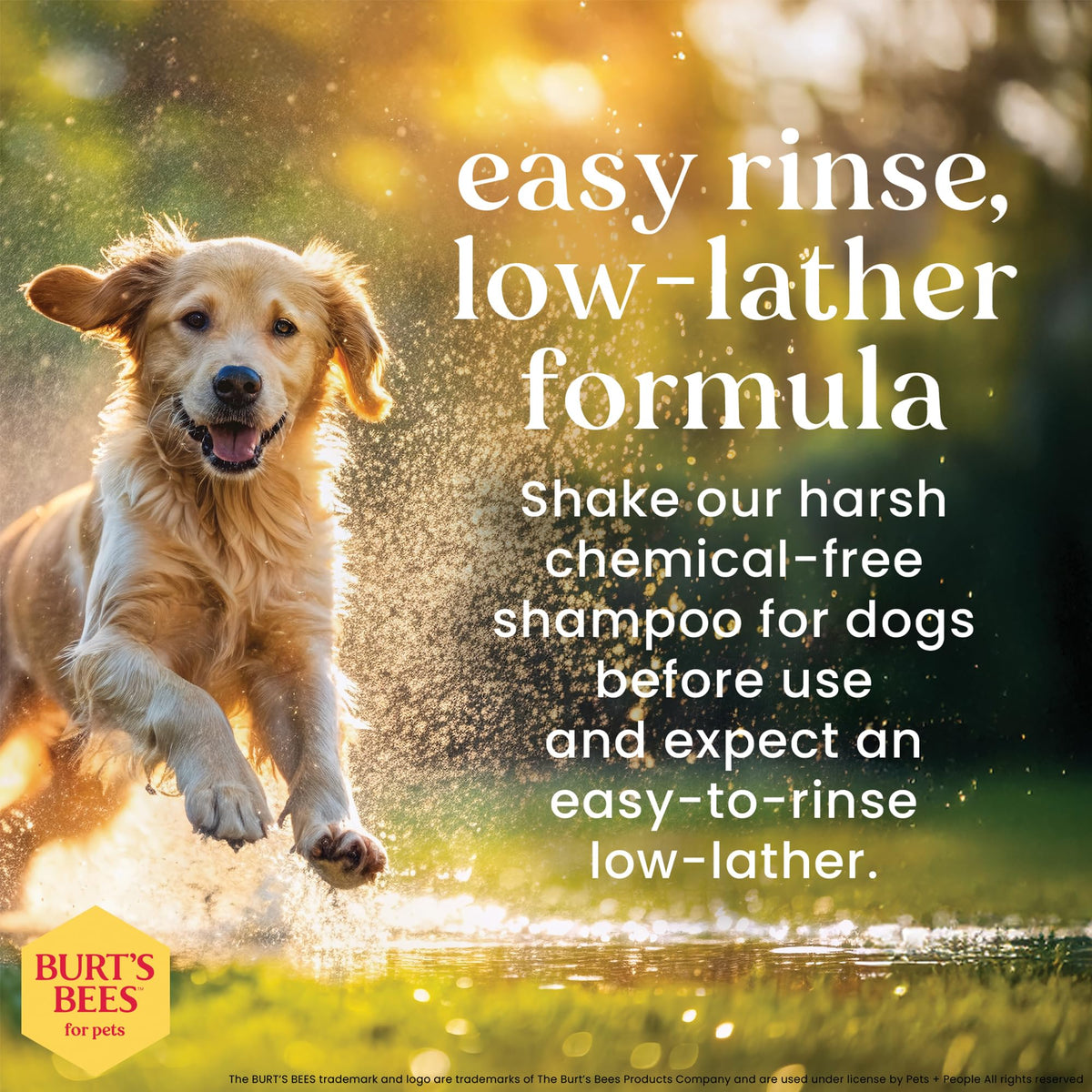Honeysuckle Dog Shampoo 16 Fl Oz K381882