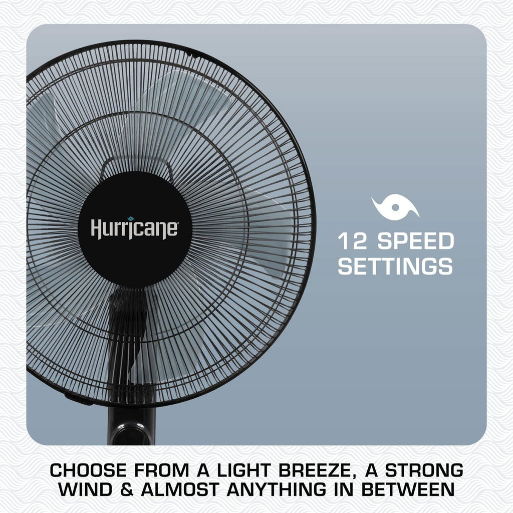 2 Pack Oscillating Pedestal Stand Fan, 12-Speed, 16", Black with Remote Control P7888