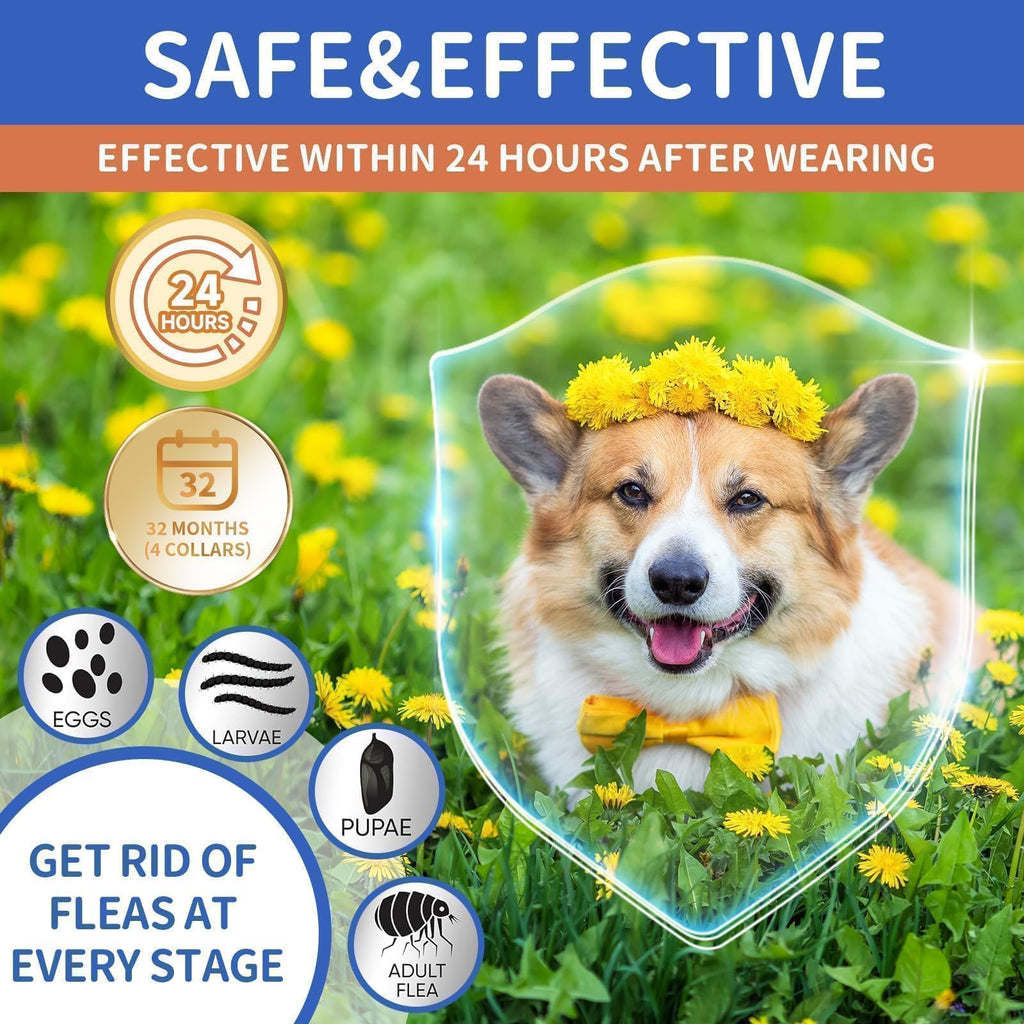 Flea Collar for Dogs 4 Pack P34856