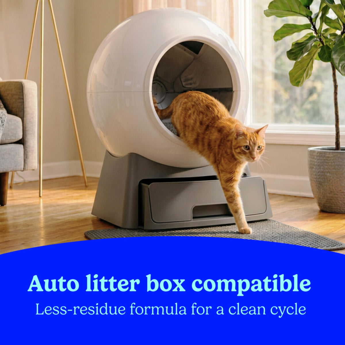 Multi Cat Clumping Litter 22 lb. Box N839401