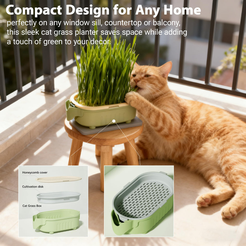 Hydroponic Cat Grass Growing Kit with Germination Tray S1128
