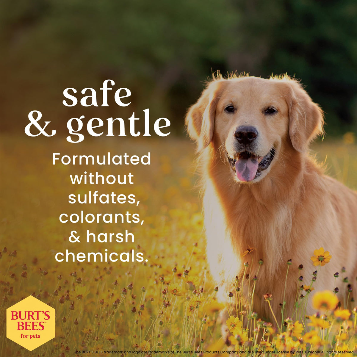 Honeysuckle Dog Shampoo 16 Fl Oz K381882
