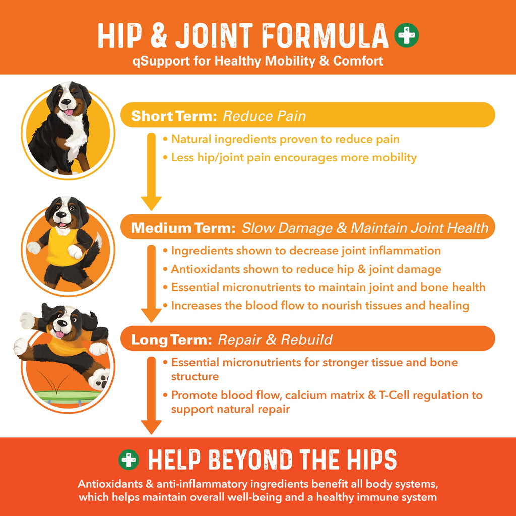 Hip and Joint Supplement for Dogs 90 Ct Soft Chews K860